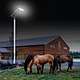 Aluminum Solar Powered street light